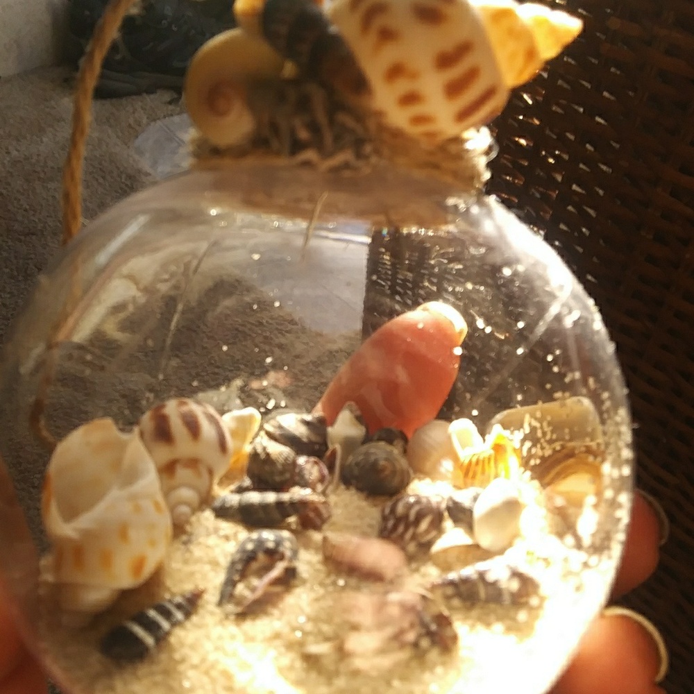 Coastal Decoration